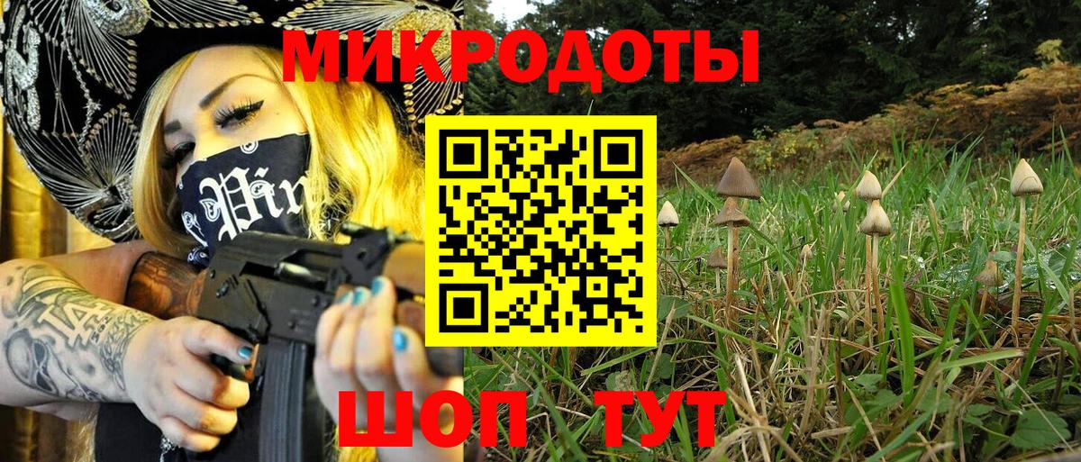 Псилоцибиновые грибы мухоморы Петрозаводск