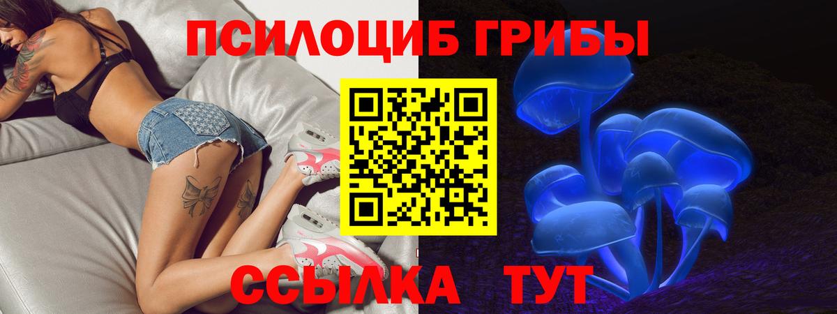 Псилоцибиновые грибы Psilocybe  Вход с VPN  Петрозаводск 
